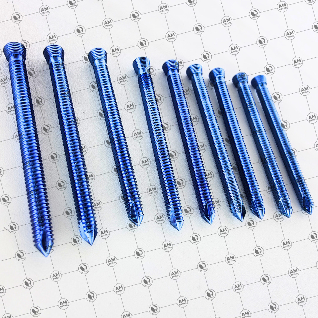AO Sáfety Locking Self Tápping 5.0mm Screws 20mm to 80mm 110 Pcs Set Titanium