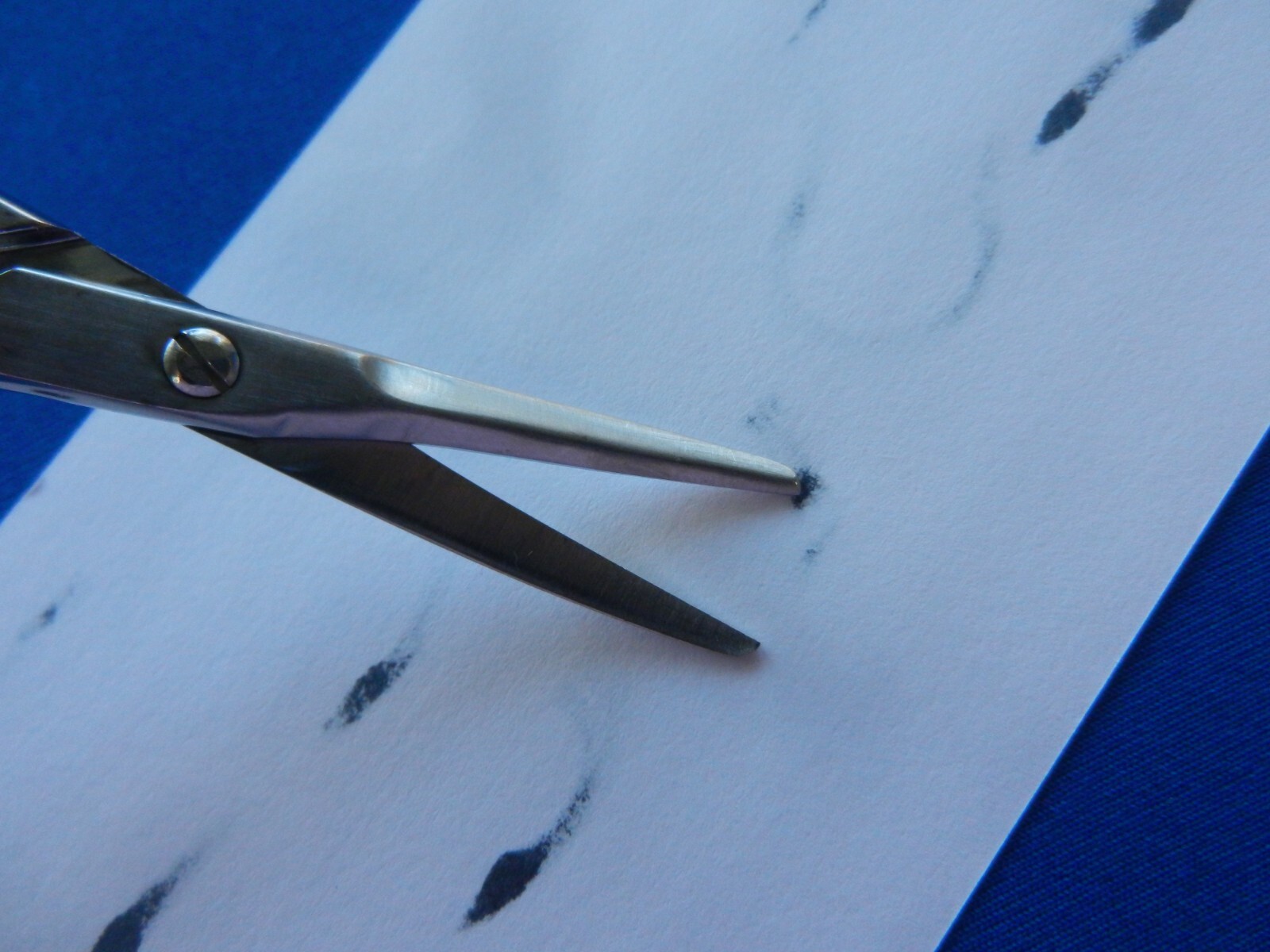 E3087 V. Mueller CH5680 Potts-Smith Curved Blunt Scissors