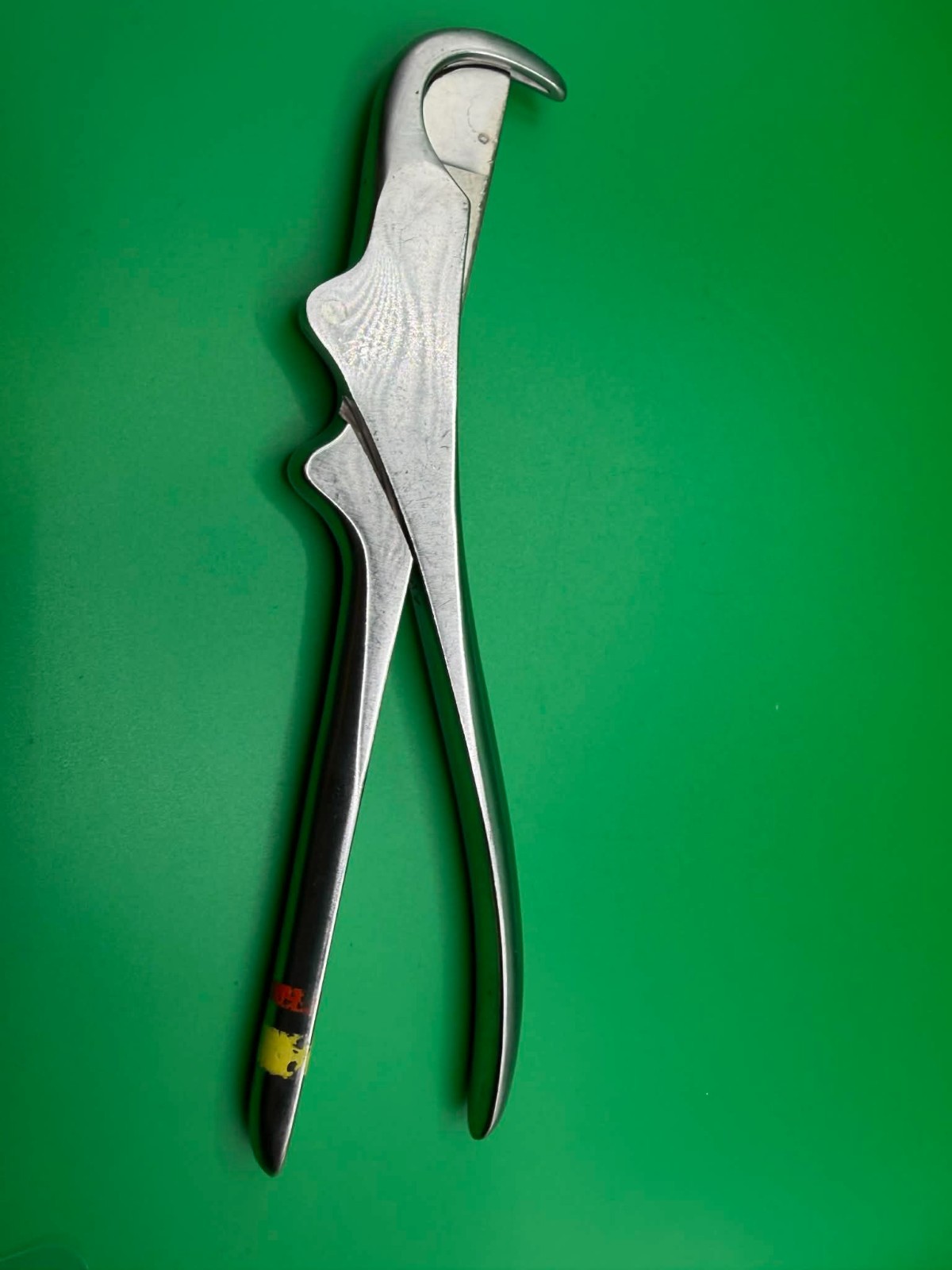 SSI 54-1019 Symmetry Surgical Gluck Rib Shear