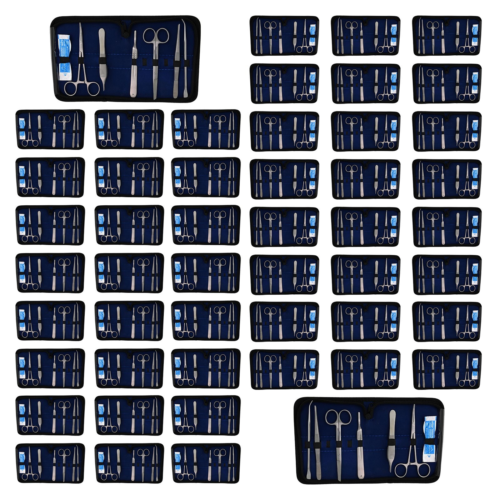 50 Kits Basic Dissecting Surgical Dental Instruments (1 Kit x 11 Pcs) DS-1707