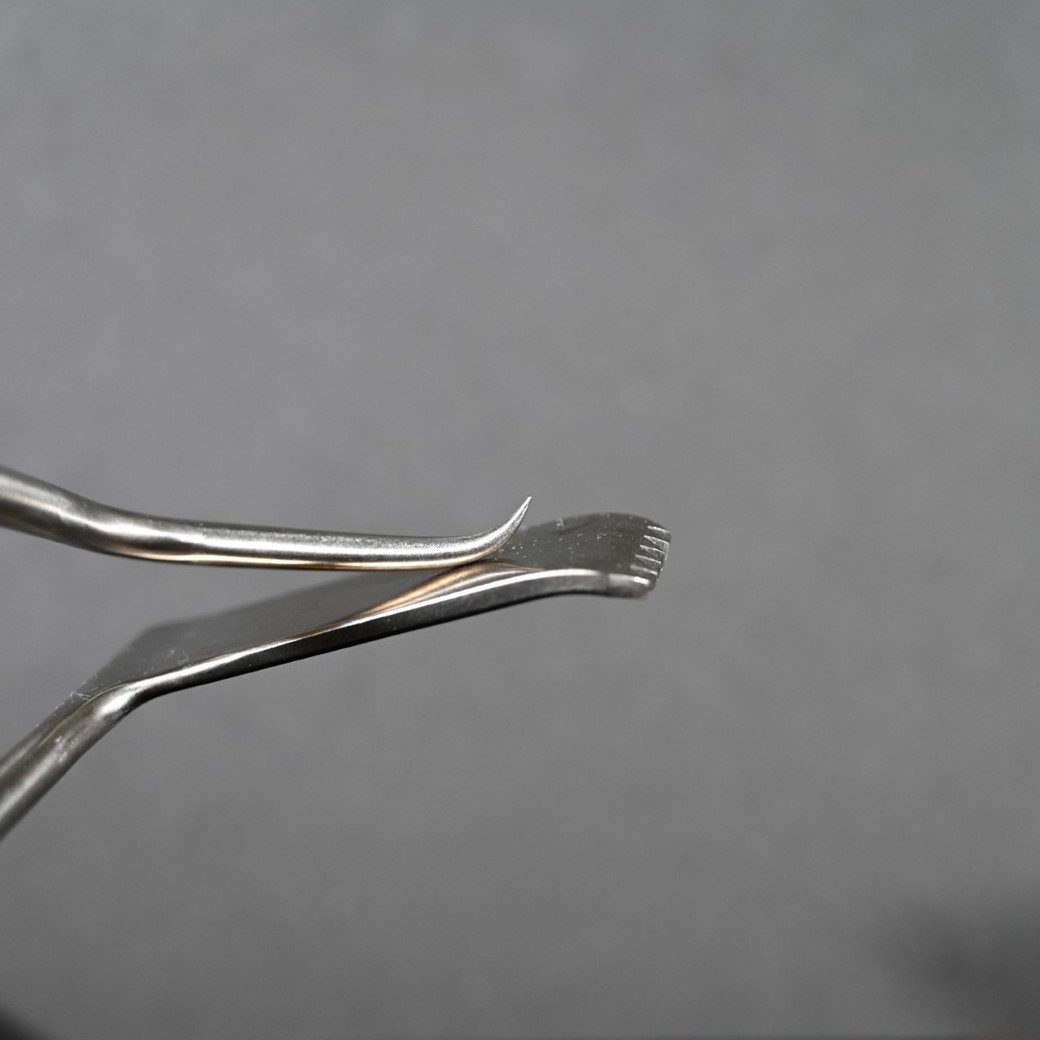 Aesculap MF077R Williams Retractor Right Blade 20 x 60 mm 7 in Surgical