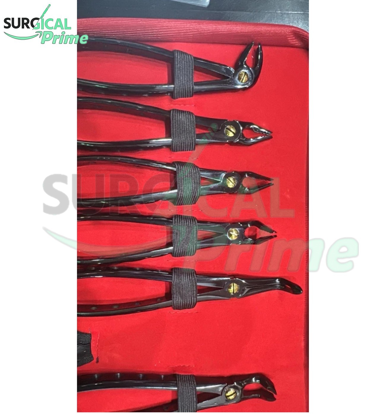 Black Extracting Forceps Set of 10 Pcs – Premium Dental Extraction Forceps Kit