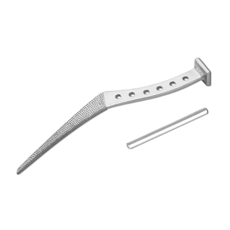 Rasp Austin Moore Standard Stem Orthopedic Surgical Instruments – Pack of 2
