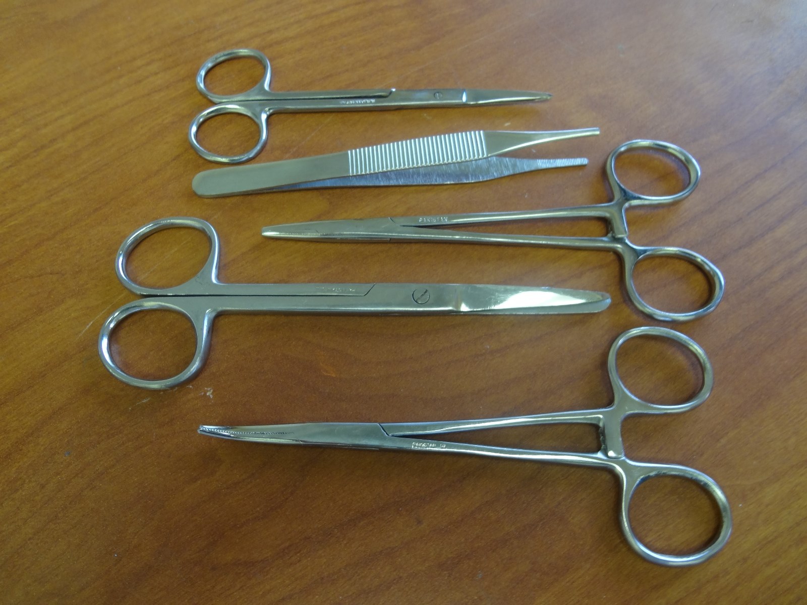 5 PCS STUDENT SUTURE SURGICAL MEDICAL INSTRUMENTS SET KIT BRAND NEW STAINLESS
