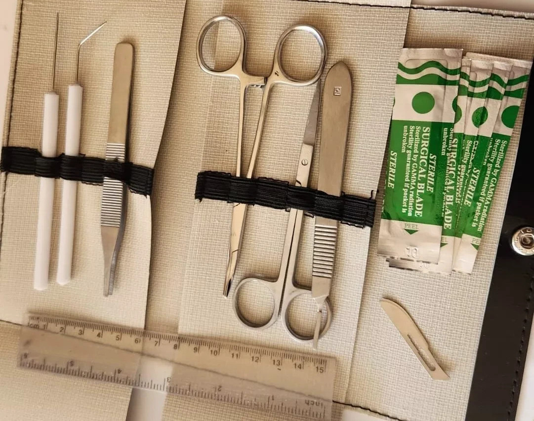 Minor Surgery Biology Medical Student Dissecting Tool Kit Set German Grade