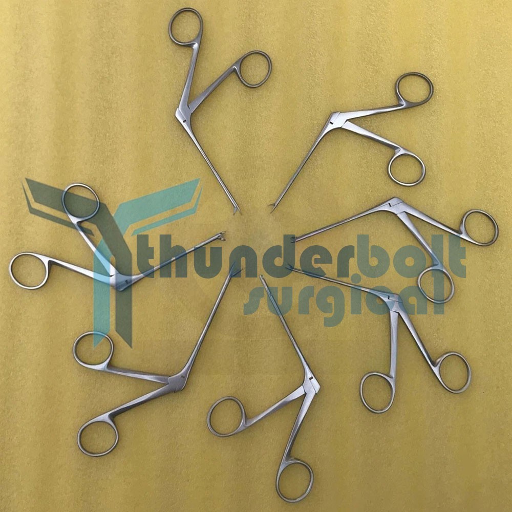 Tympanoplasty Instrument Set, Surgical Instruments Micro Ear Forceps Surgery Set