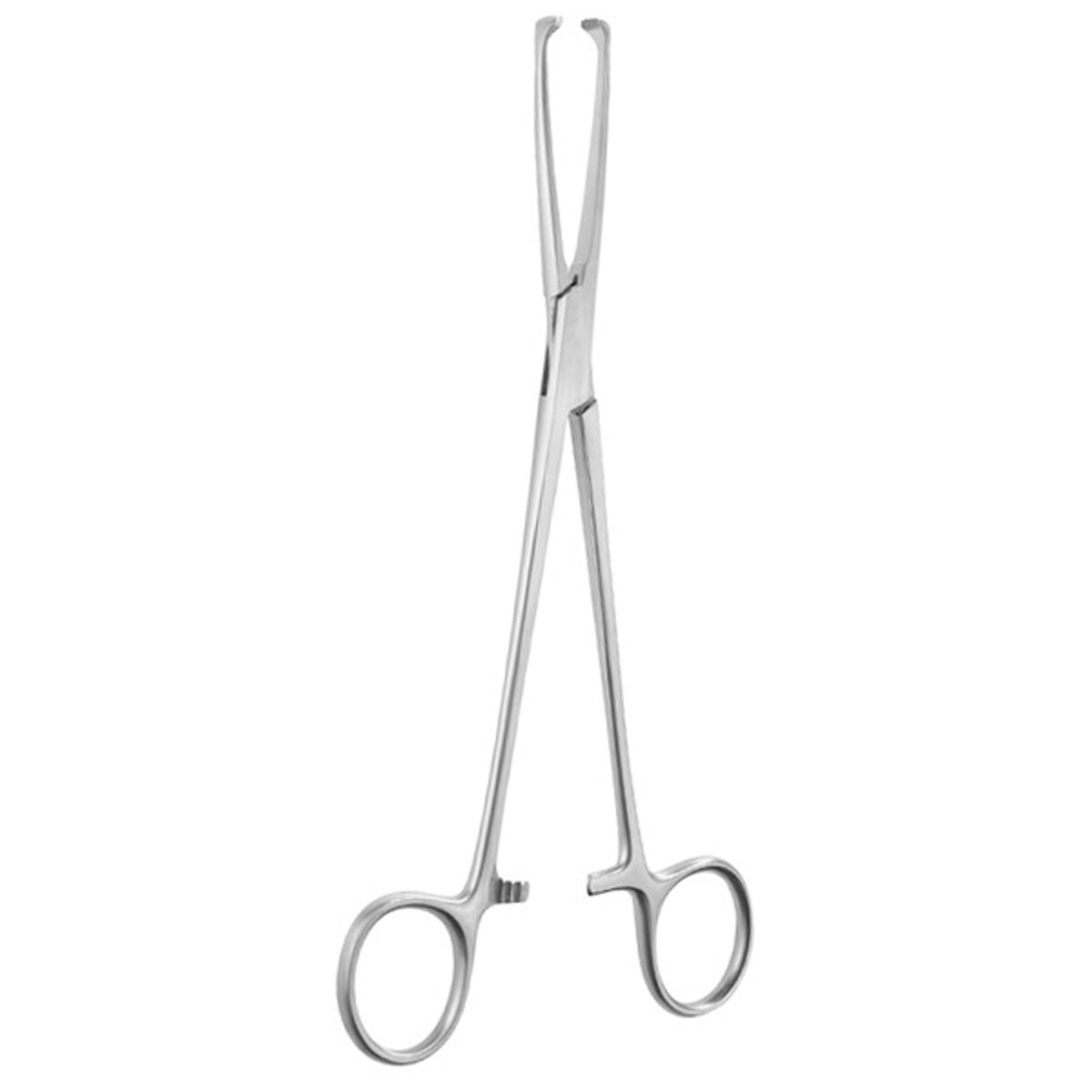 Set of 12 Allis Intestinal Tissue Forceps, 6.25″, Straight, 5 x 6 Teeth