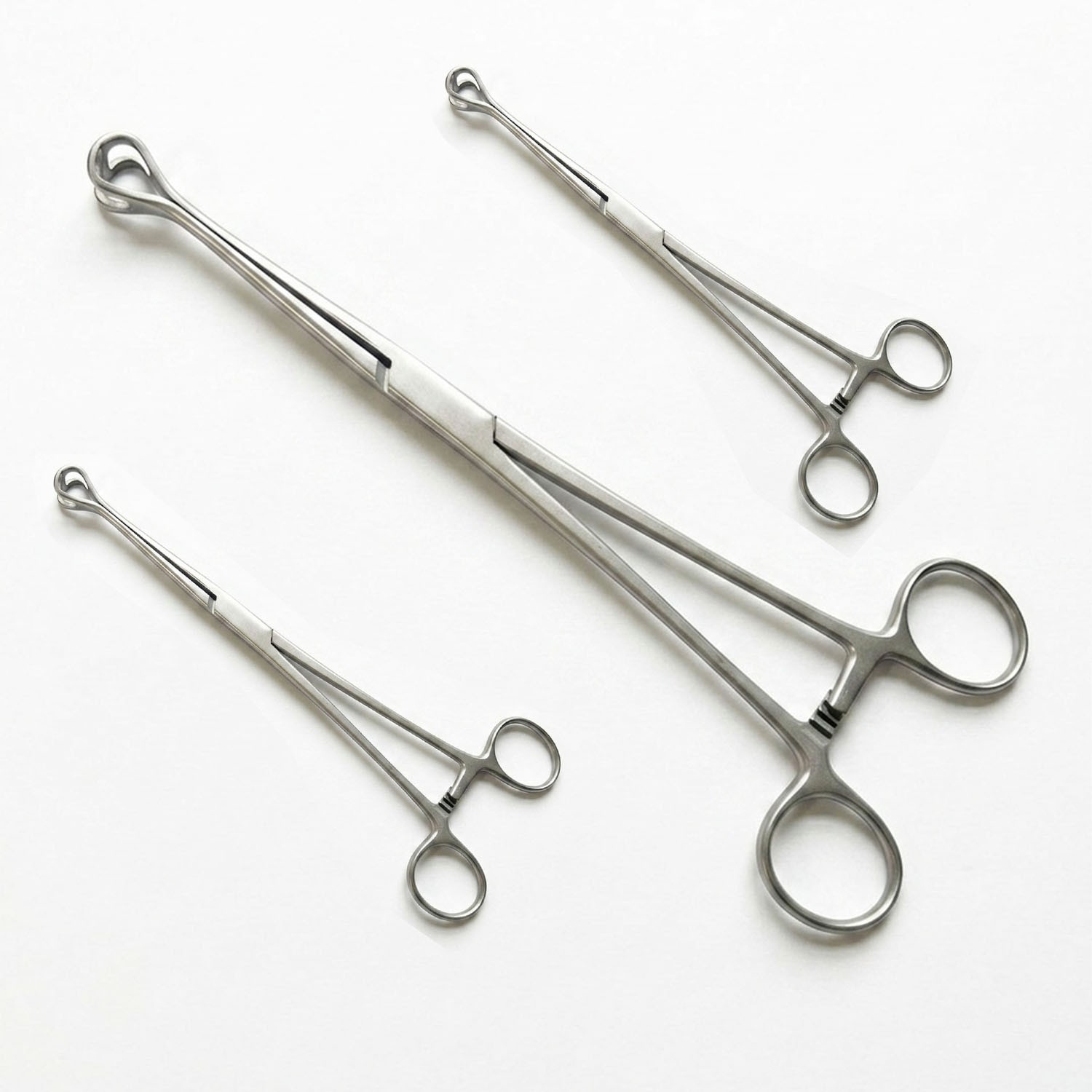 V. Mueller SU5001 Babcock Tissue Holding Forceps, 8″