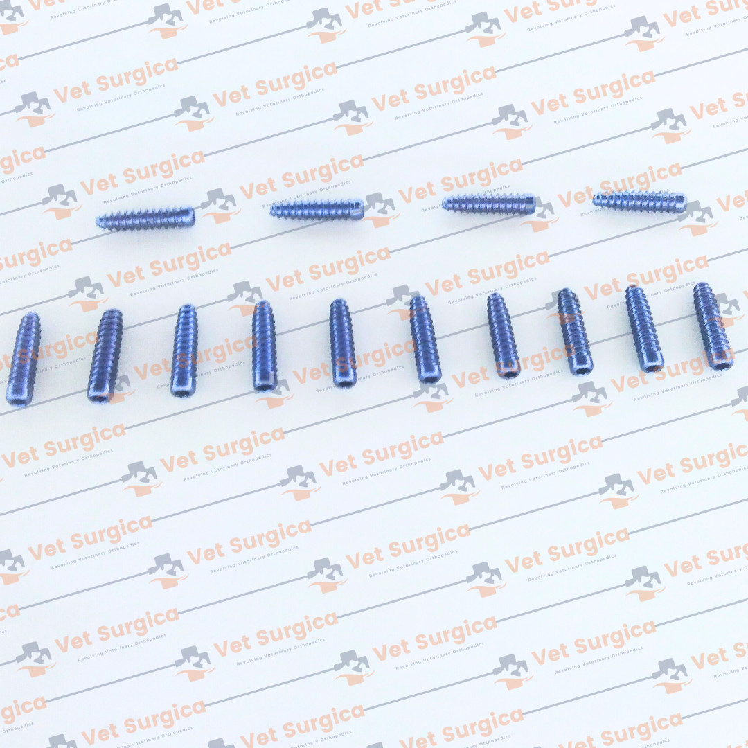 ACL (Interference) Screw Dia: 8mm Length 25 & 30mm with Screwdriver 21Pcs Set Ti