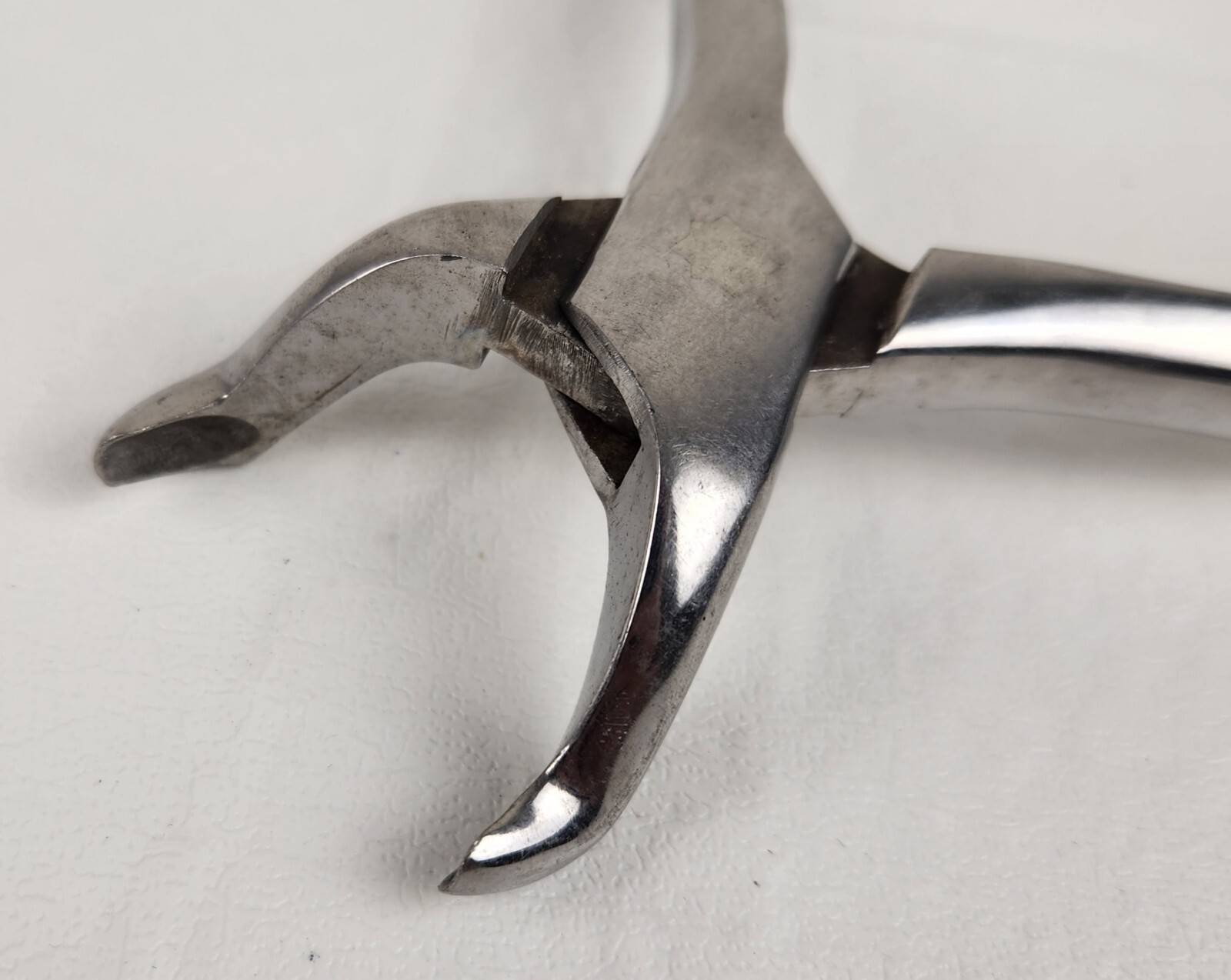 TARNO 810 DENTAL SURGICAL EXTRACTION FORCEPS EXTRACTOR