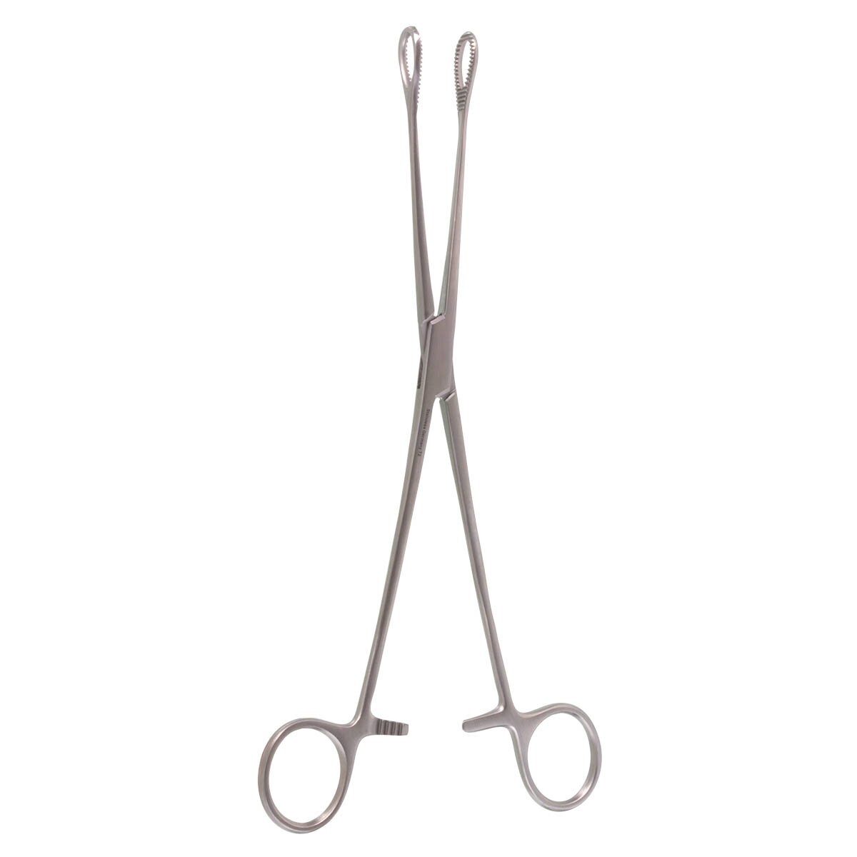 Foerster Sponge Holding Forceps, 18″, Straight, Serrated Loops, Premium