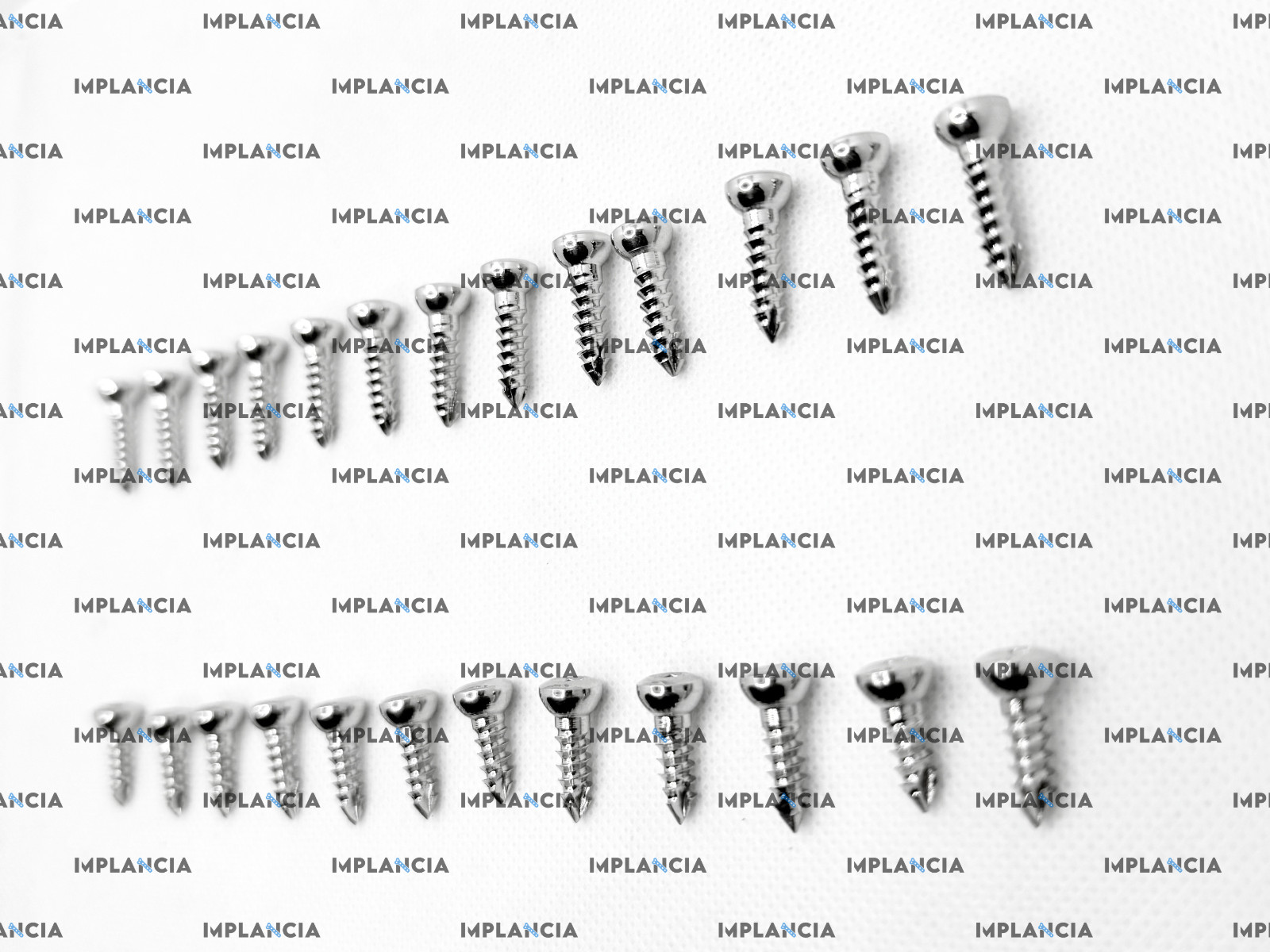2.0mm AO Cortex Self-Tapping Screws Set 100 Pcs Stainless Steel Premium Quality