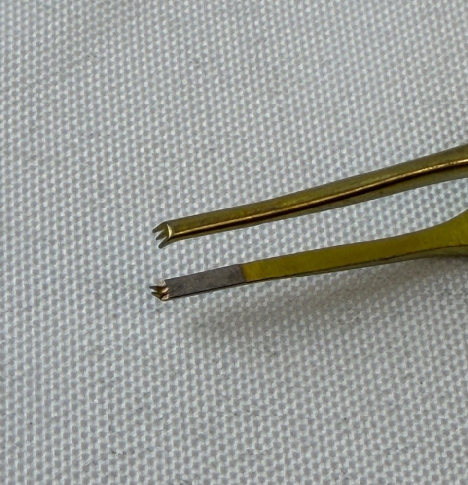 Ambler Surgical OF181L Stern Castroviejo Suturing Forceps 4″ x 0.5mm 2×3 Teeth