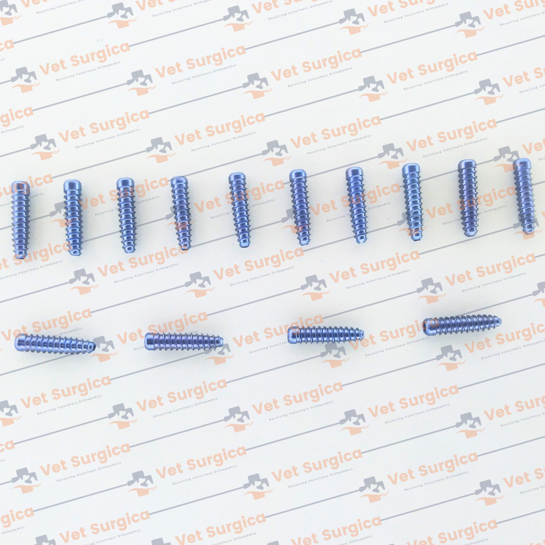 ACL (Interference) Screw Dia: 8mm Length 25 & 30mm with Screwdriver 21Pcs Set Ti