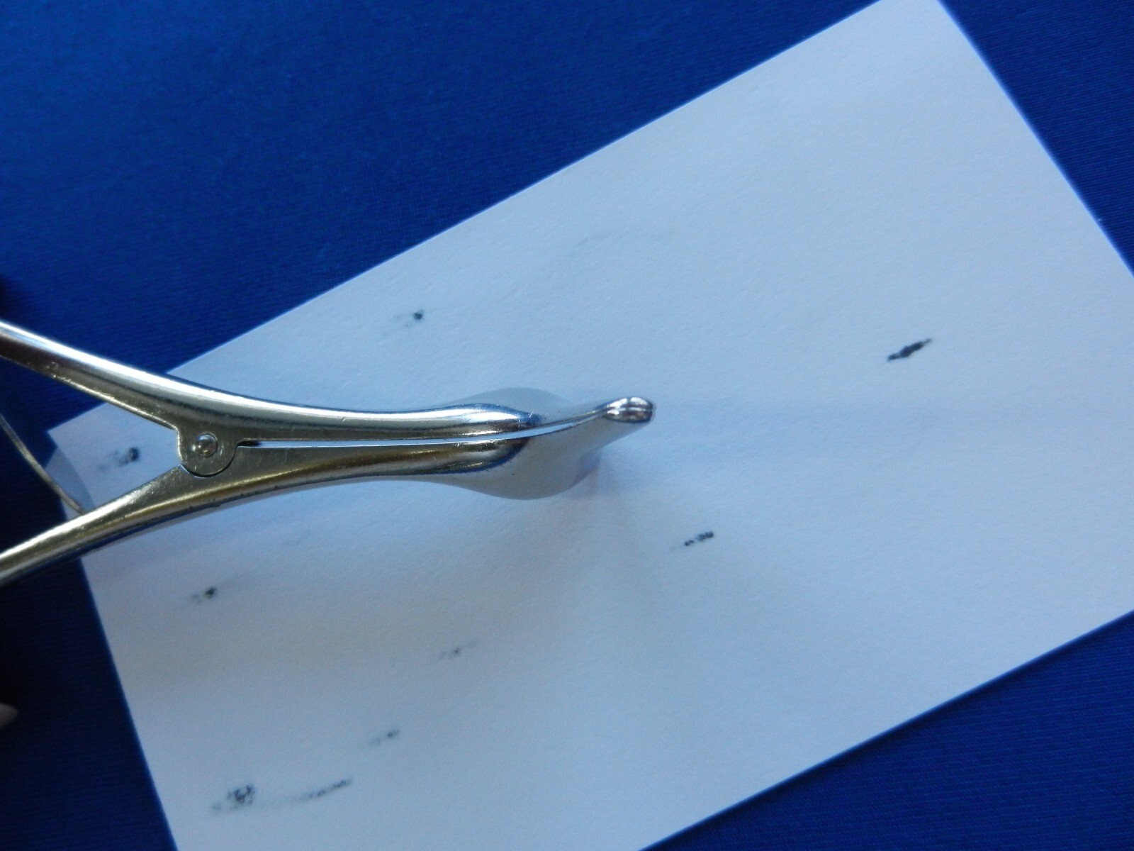E4269 Sklar ENT Nasal Speculum 6″ Overall Length