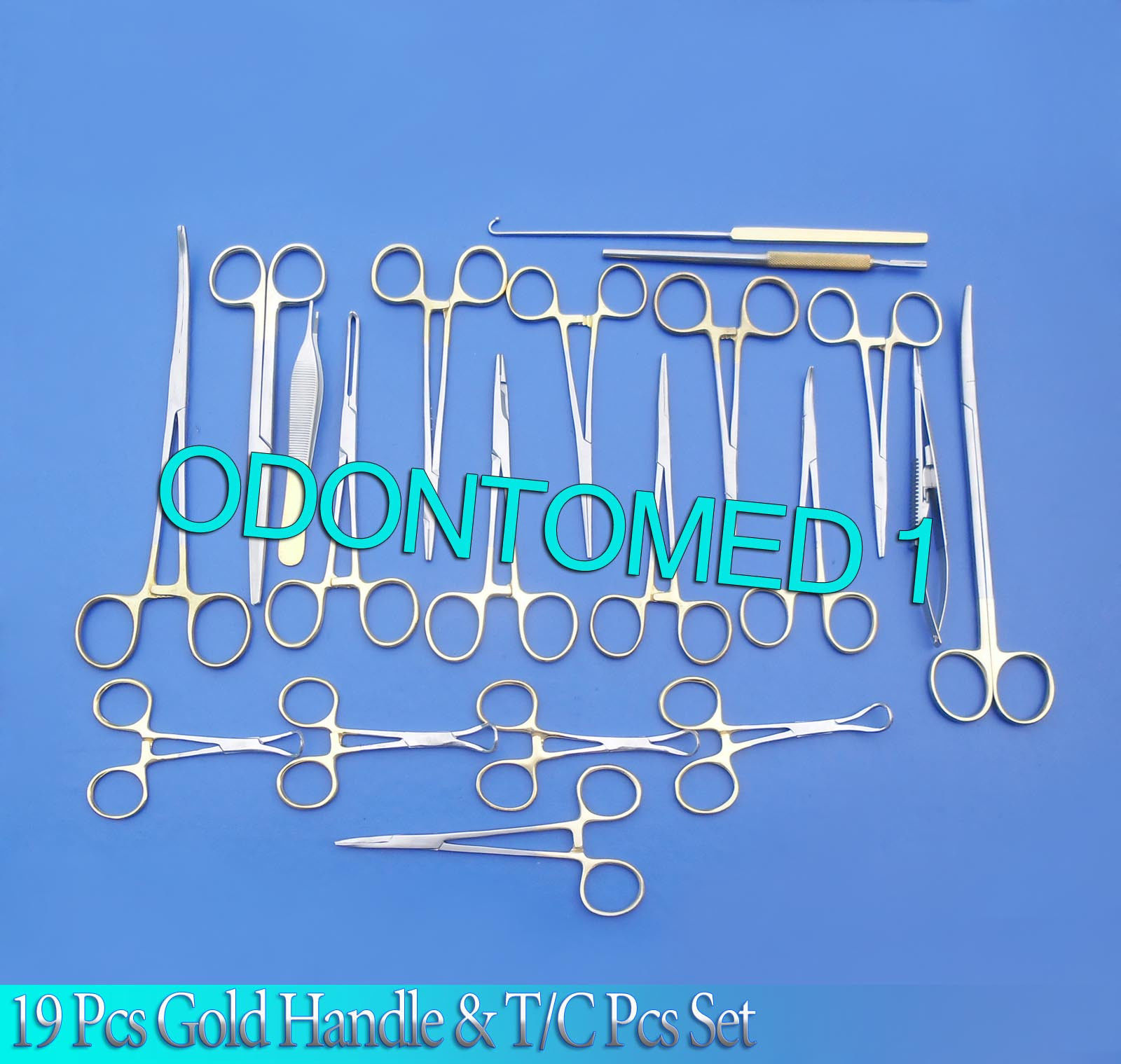 19 Pcs Gold Handle General Canine Spay Pack Surgical Instruments Set Kit Ds-1054