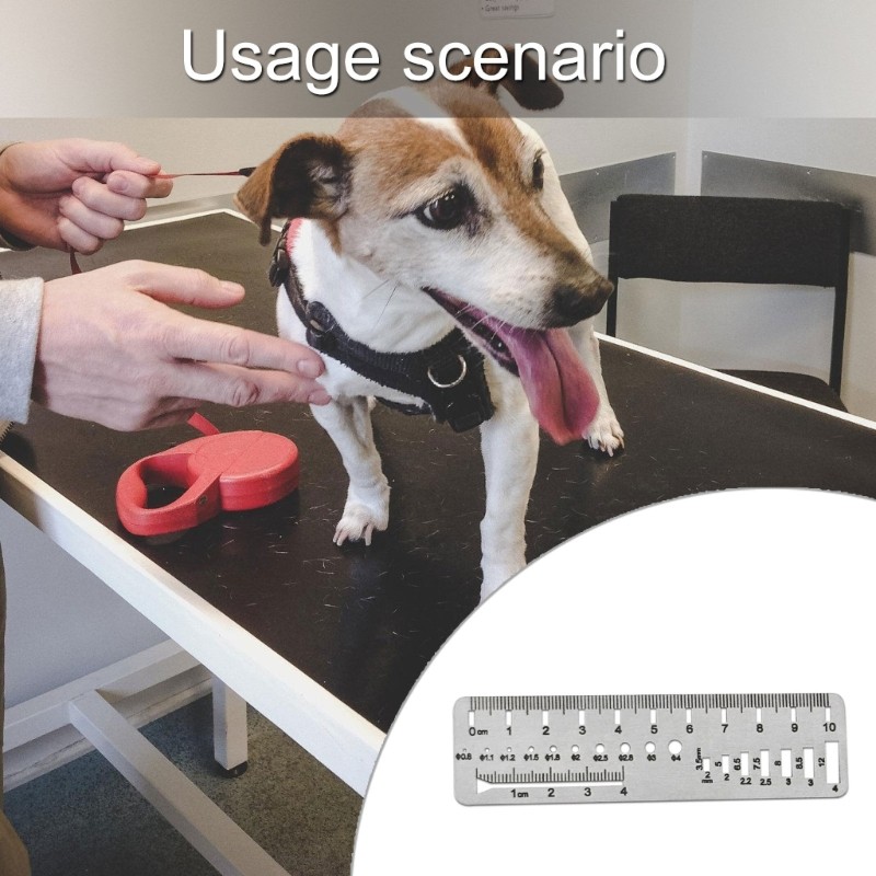 High Precisions Veterinary Measuring Instrument Stainless Steel Pet Bone Tool