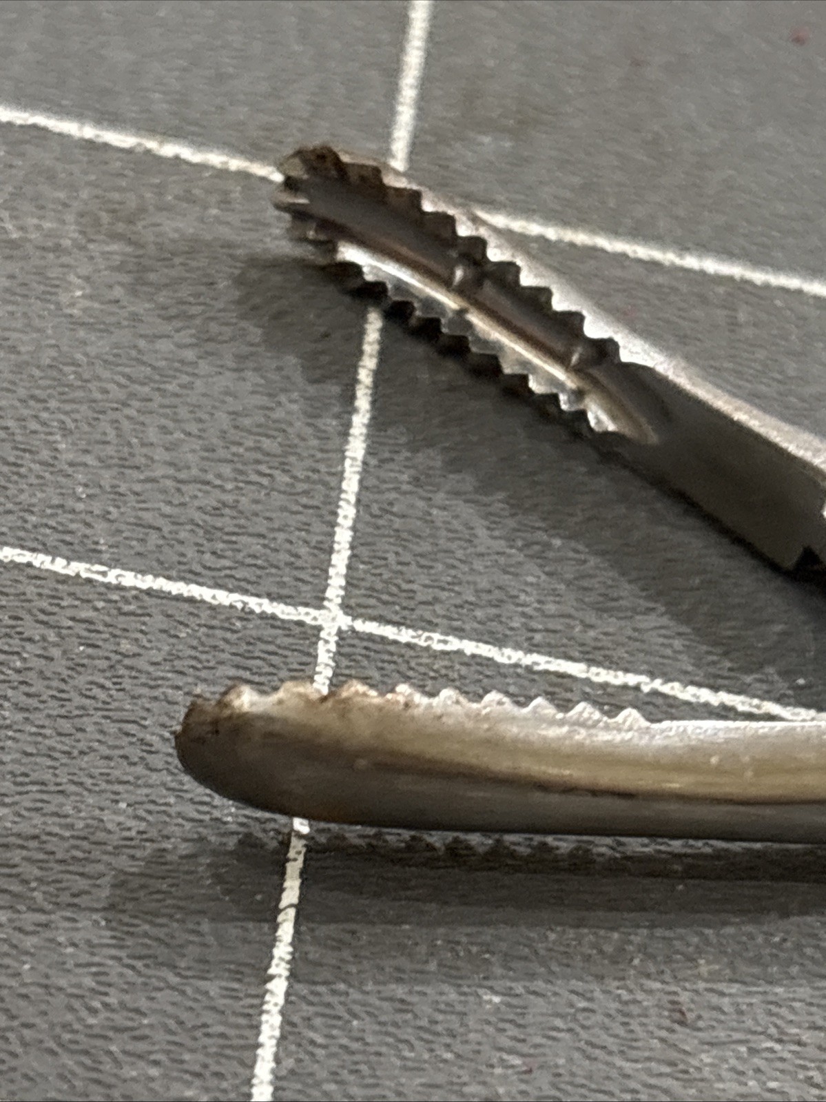 Medical Forceps 8 Inches Long Angled Tip