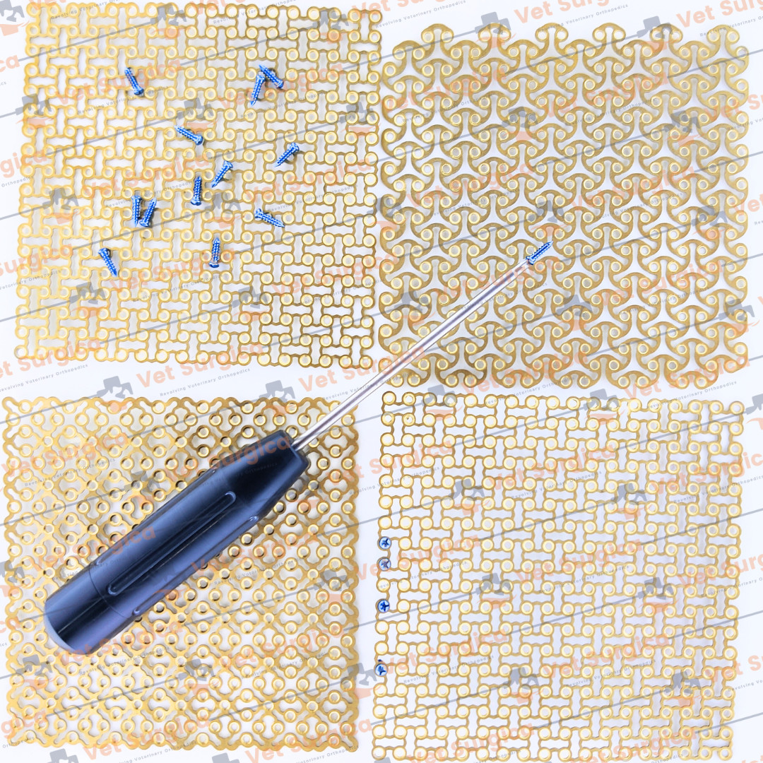 0.6mm Maxillofacial Mesh Plates 100 x 100 with Crosshead Screws 55 Pcs Set Ti