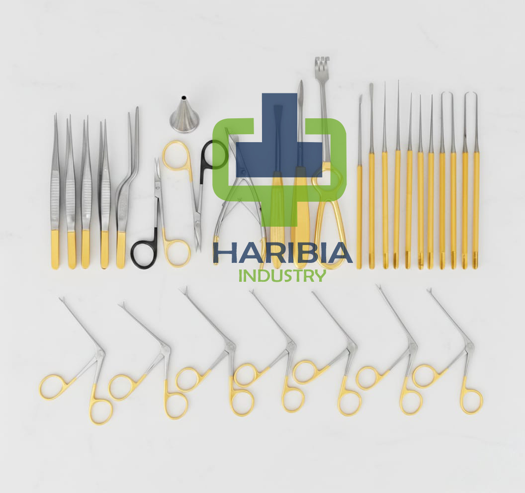 ENT Tympanoplasty Instrument Set 30 Pcs Micro Ear Surgery Set
