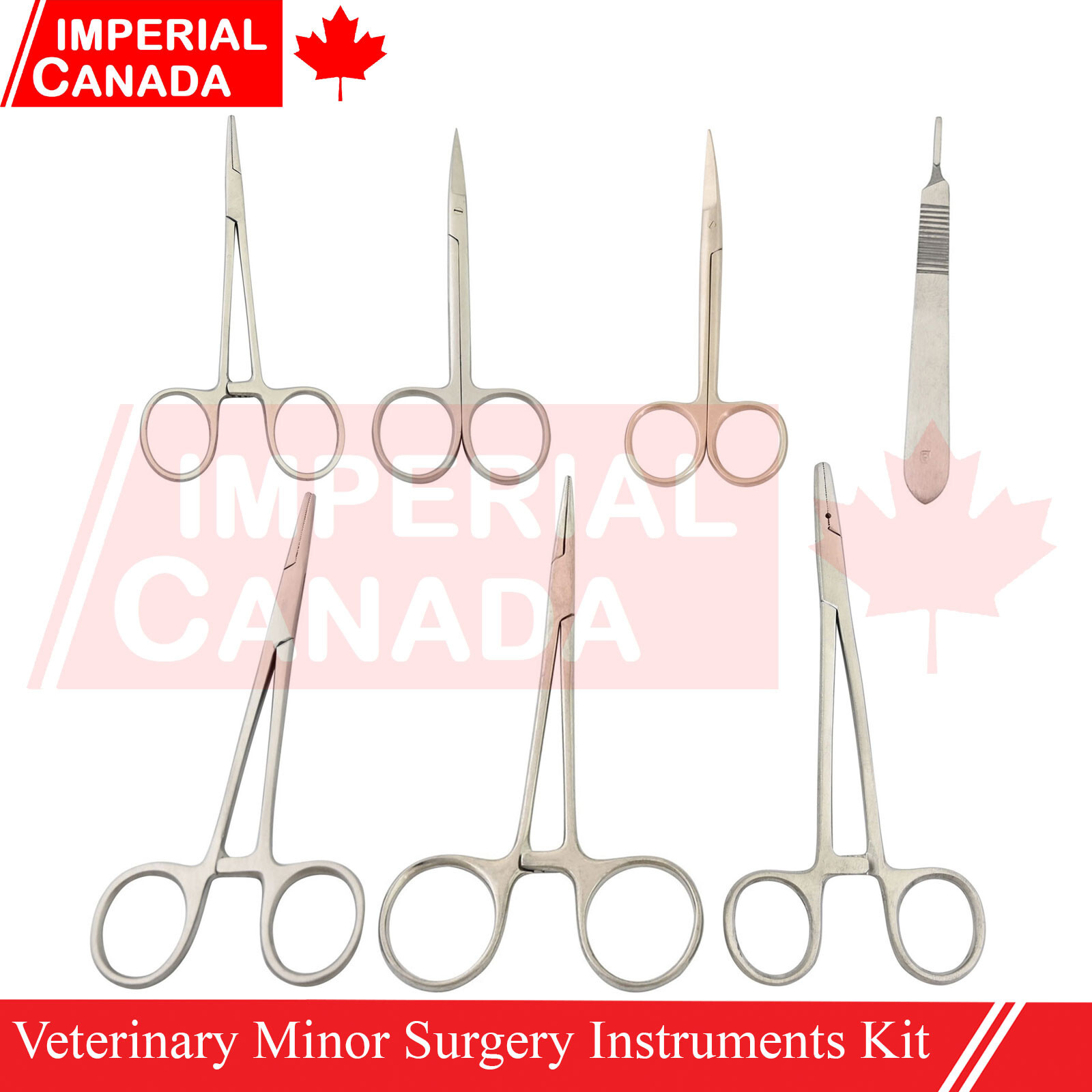 7 Pcs Veterinary Minor Surgery Instruments Kit Surgical Dissection Tools DS-2097