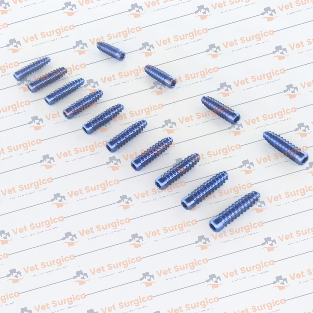 ACL (Interference) Screw Dia: 8mm Length 25 & 30mm with Screwdriver 21Pcs Set Ti