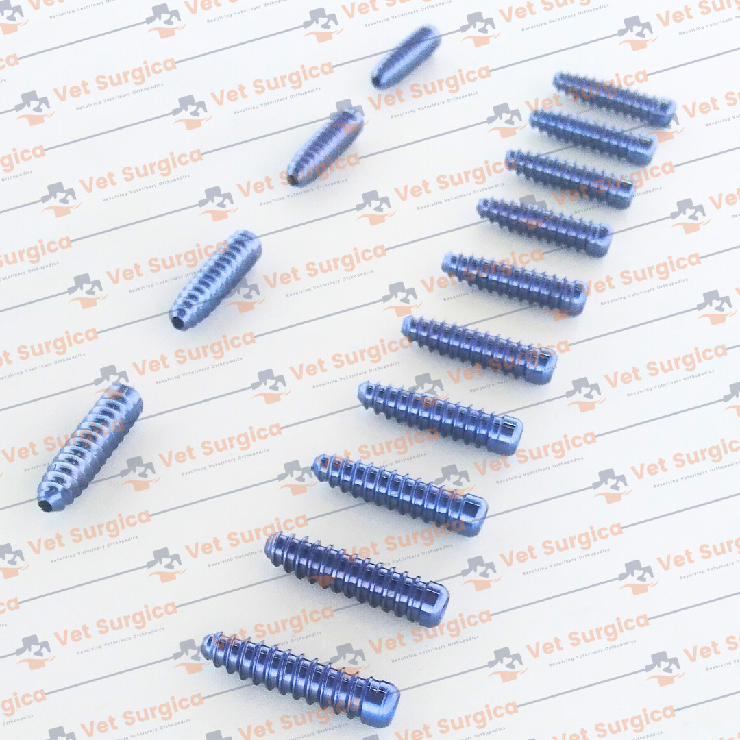 ACL (Interference) Screw Dia: 8mm Length 25 & 30mm with Screwdriver 21Pcs Set Ti