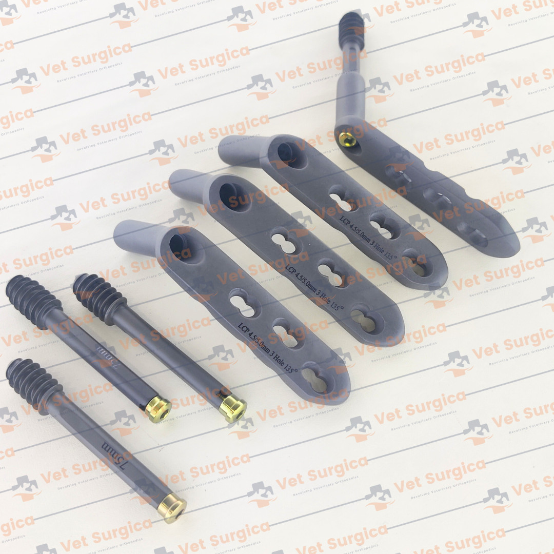 DHS 4.5/5.0mm Safety Locking Plate 3 Hole with Leg Screw 80 to 95mm 8 Pcs Set Ti