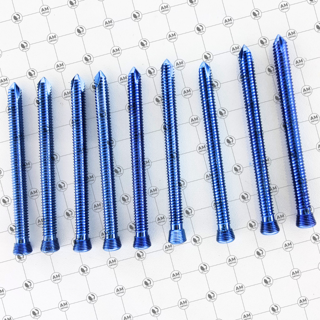 AO Sáfety Locking Self Tápping 5.0mm Screws 20mm to 80mm 110 Pcs Set Titanium