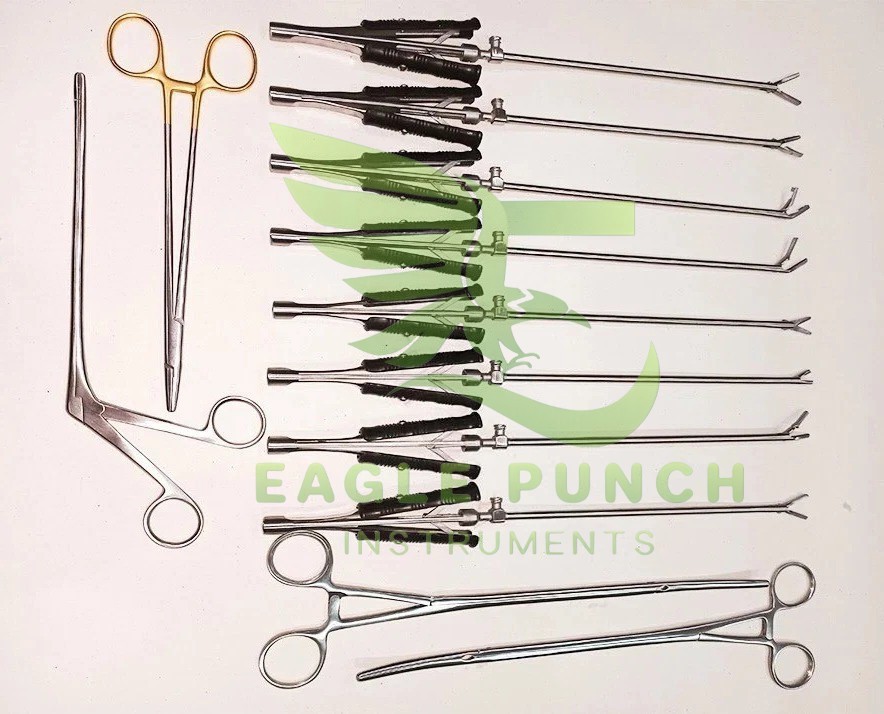 New Valve Cardiac Surgery Premium Quality 12 Pcs Set Surgical Instruments