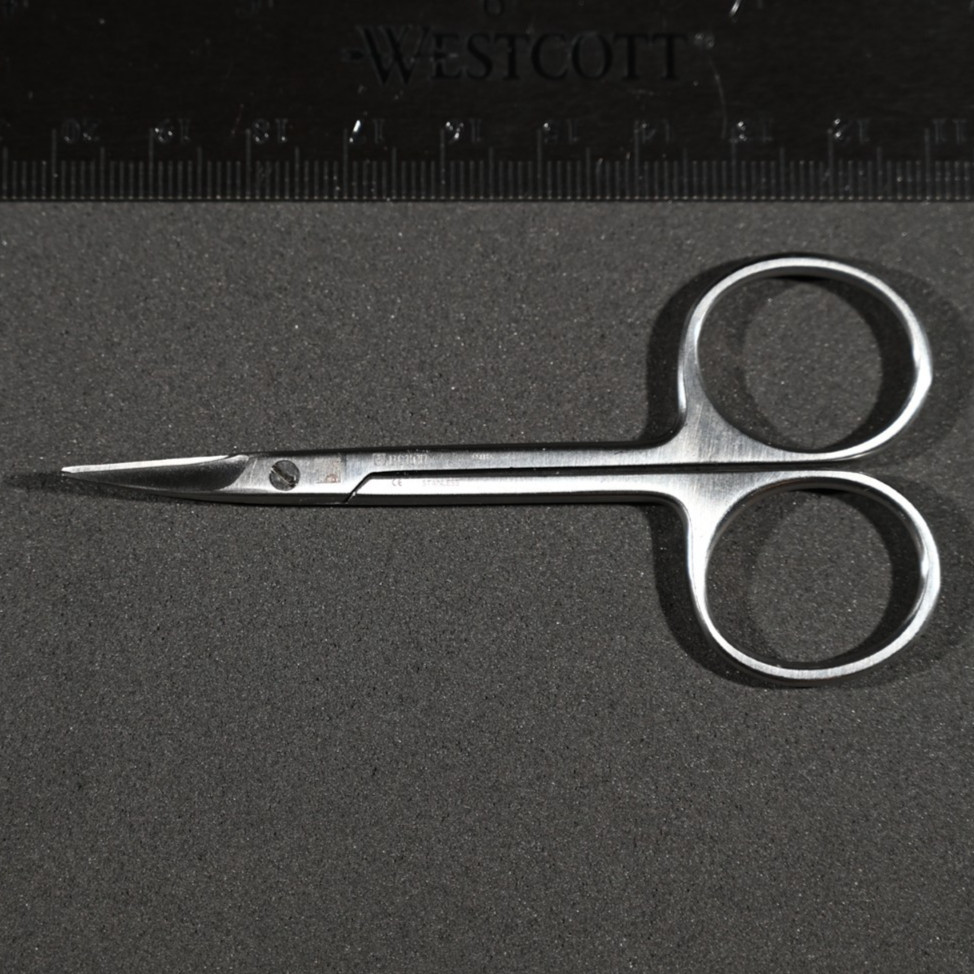 Aesculap BC161R Kelly Scissors Curved Sharp/Sharp 6 7/8 in Surgical
