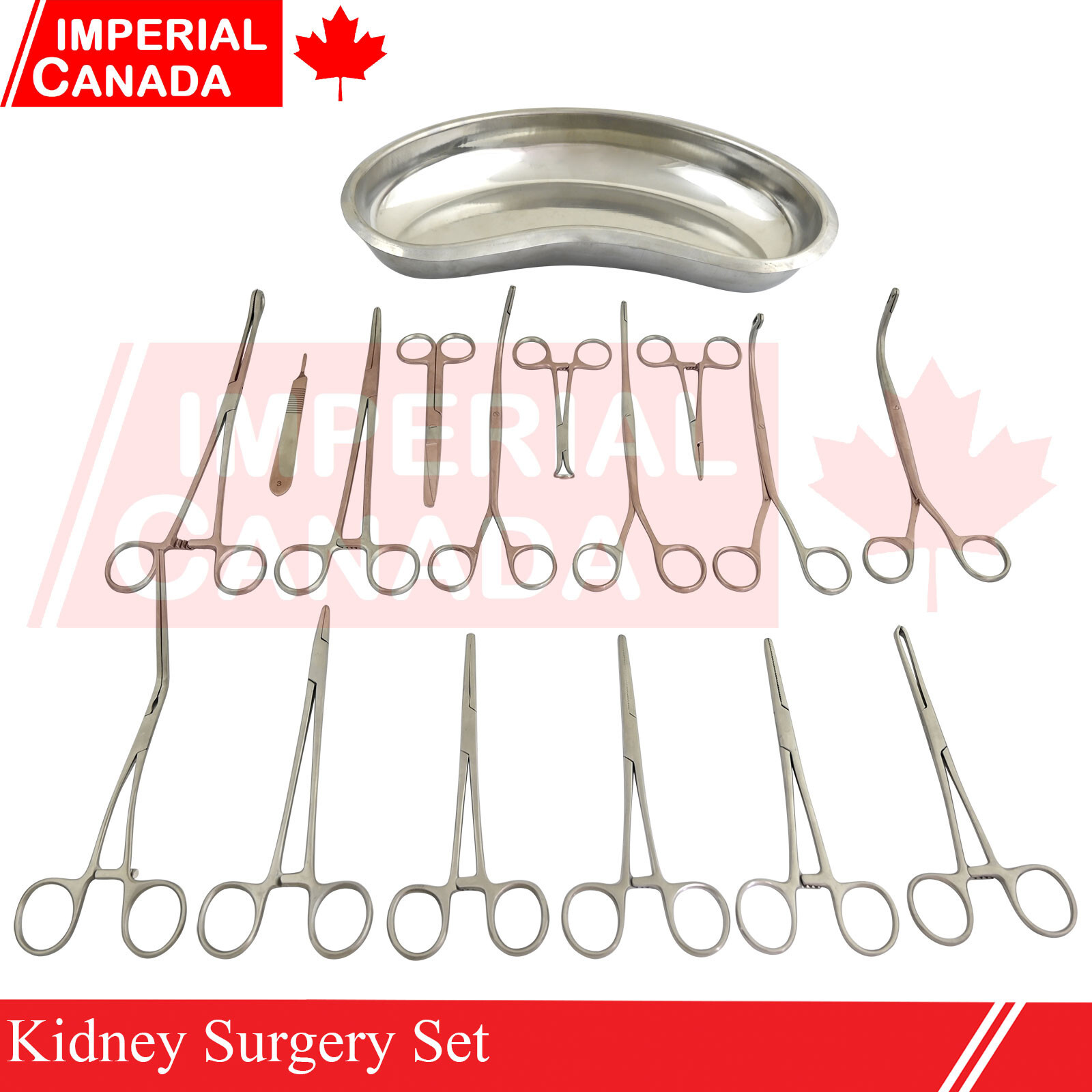 40 Pcs Kidney Surgery Set Manual Power Source ISO and CE Approved DS-1732