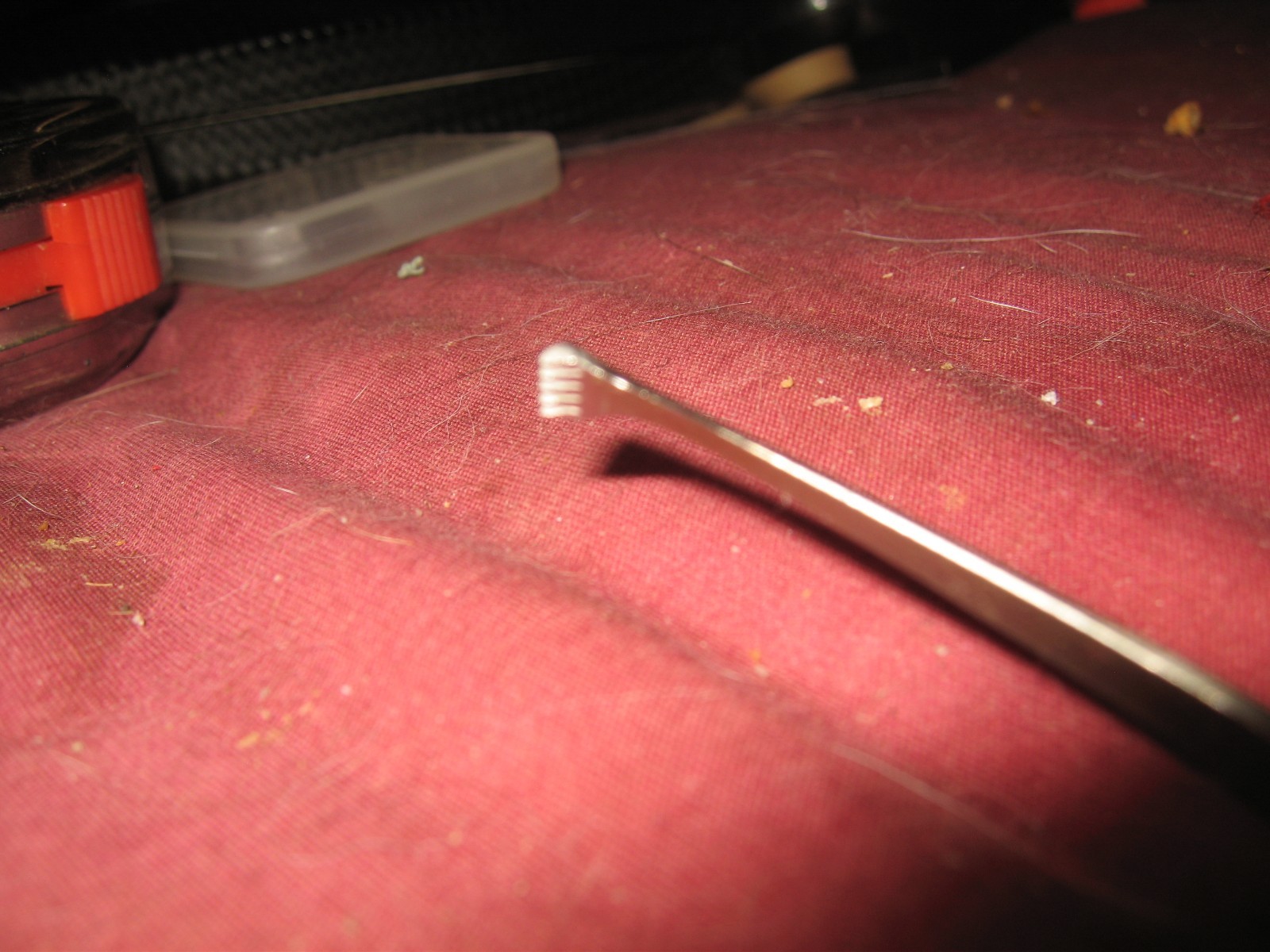 Alice Tissue Forceps From Vet Office (16 Avail) Good Condition $ 8 per forcep