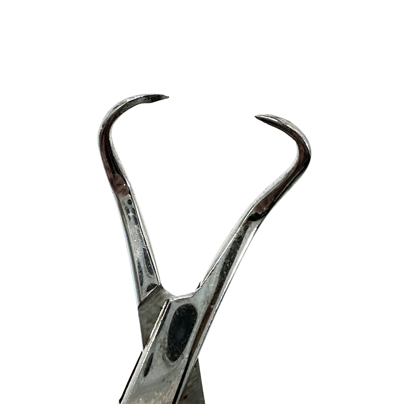 Jarit 110-100 Backhaus Towel Forceps, Mirror-Finish, 3-1/2in A.