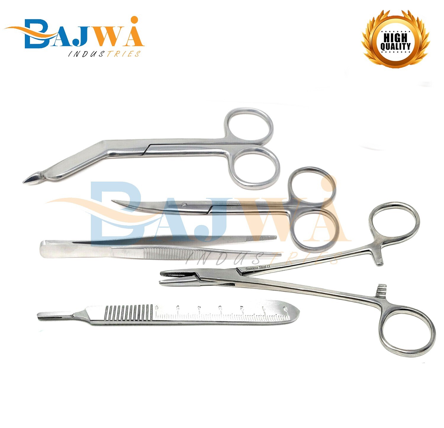 Set of 13 Pieces Basic Minor Surgery Kit Steel Kidney Tray Surgical Instruments