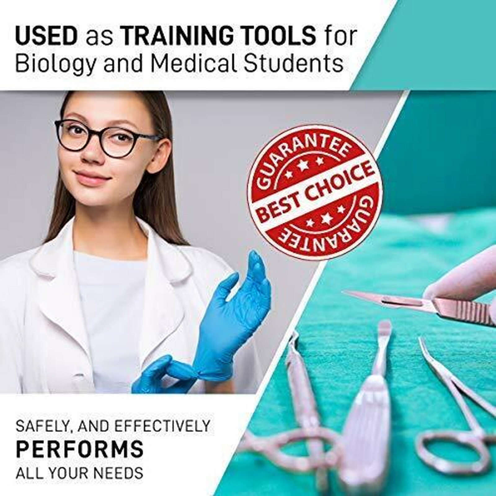 Minor Surgery Kit Surgical Dissection Tools Veterinary Dissecting Instruments