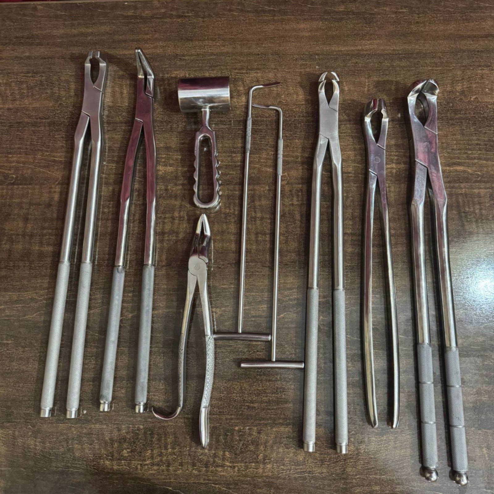 Veterinary Equine Dental Tool Set | Horse Dental Equipment | Stainless Steel