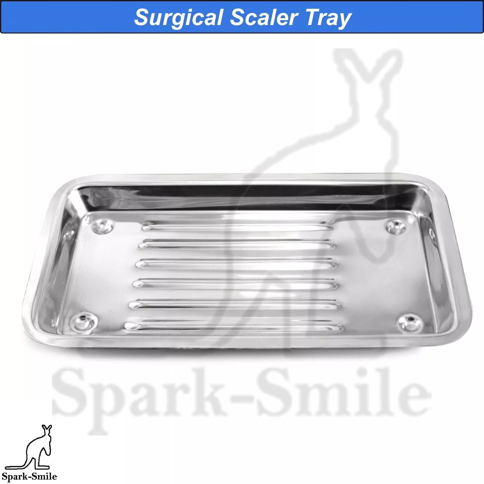 Dentist Scaler Tray Lab Dentist Autoclavable Dentistry Laboratory Instruments