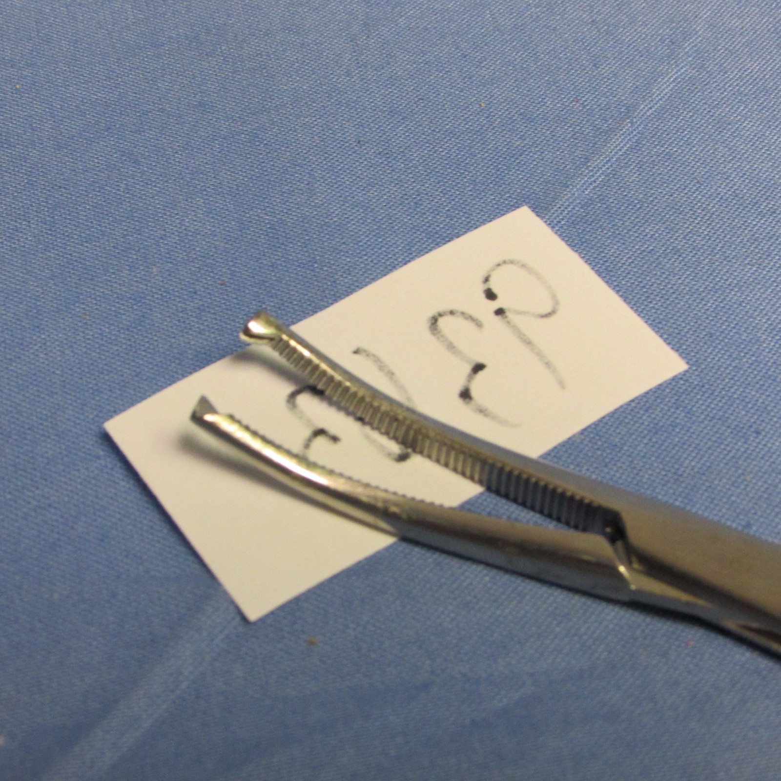 BBM Surgical RF01-654 Crile Forceps 6 1/2in