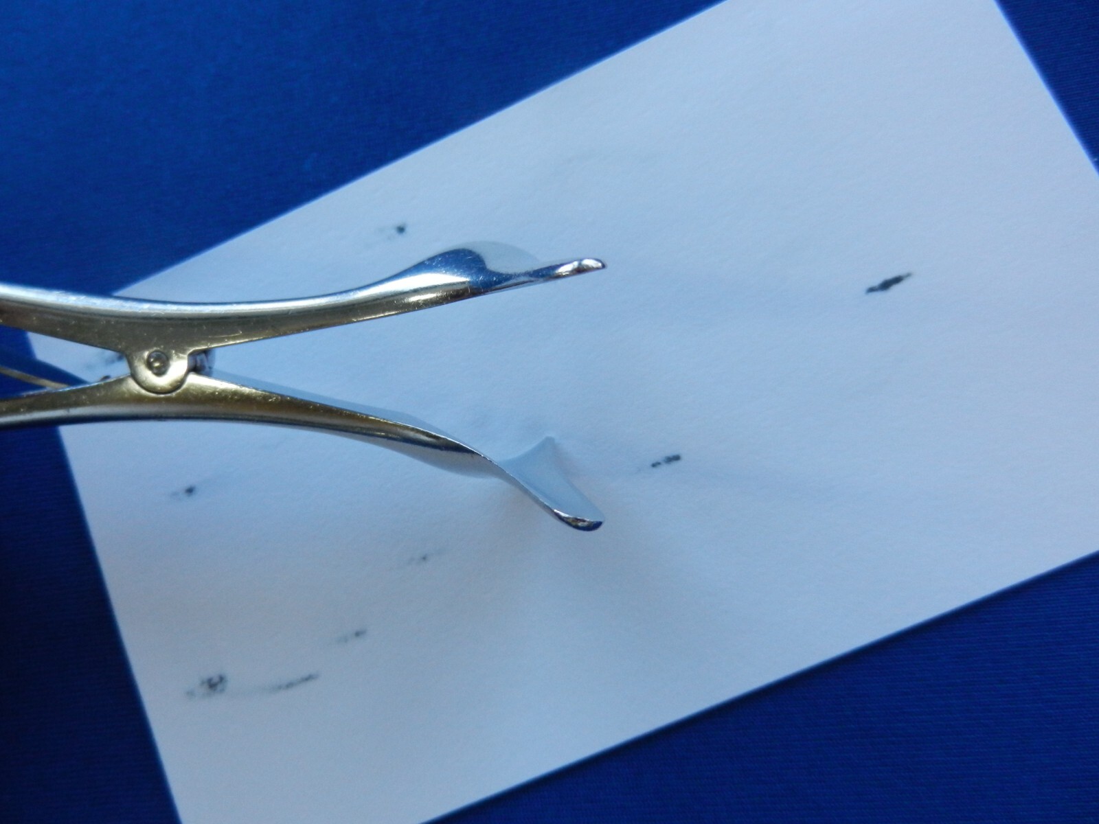 E4269 Sklar ENT Nasal Speculum 6″ Overall Length
