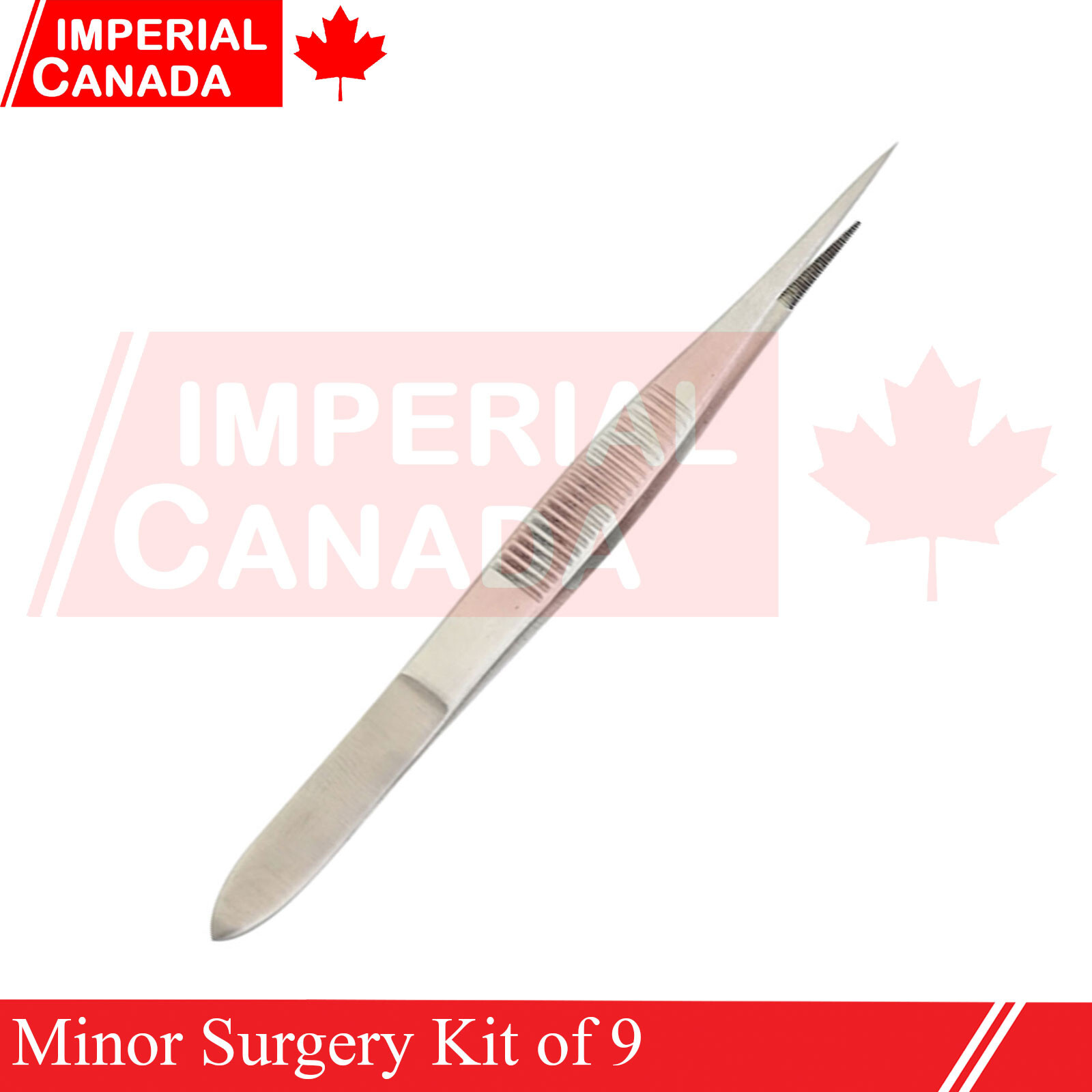 Minor Surgery Kit of 9 Surgical Instruments New Medical Instruments DS-2041
