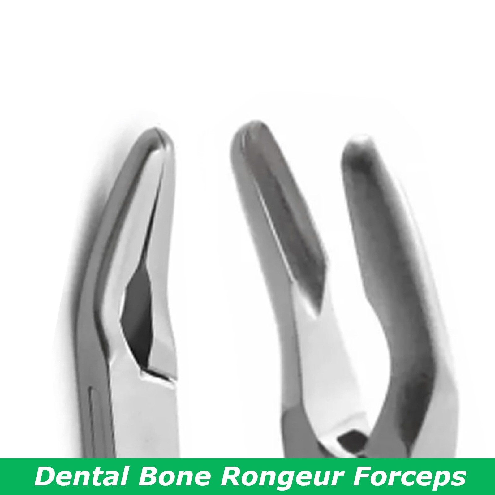 Pinza Fridman Quirúrgica 14 cm | Corte Óseo Dental, Ortopedia, Acero Inox Pro