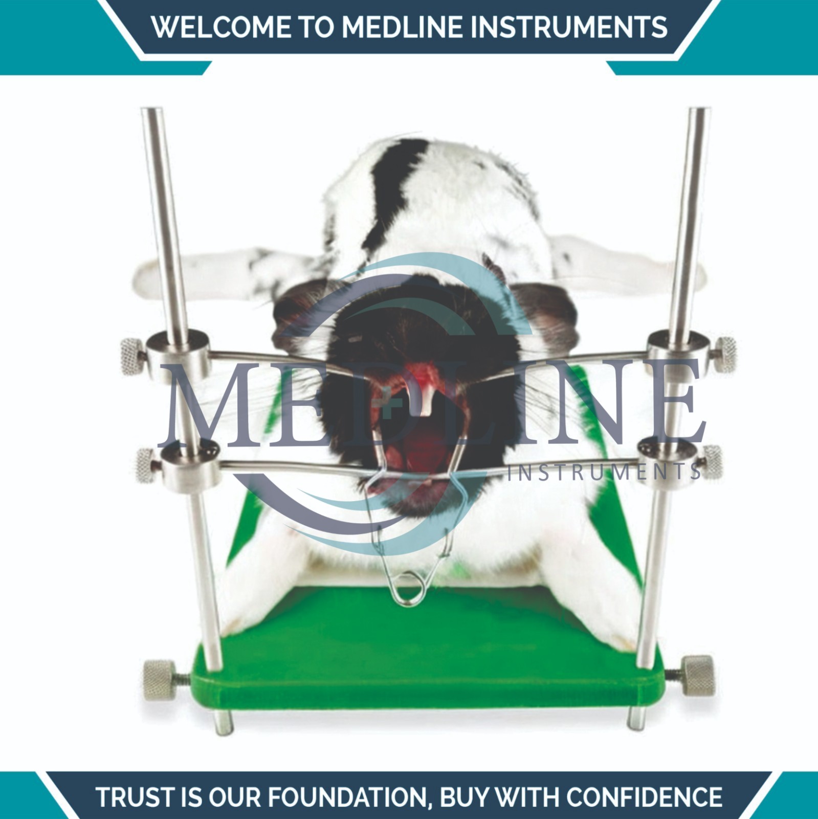 Rabbit Rodent Mouth Gag Speculum Table Top Veterinary Dental Tool
