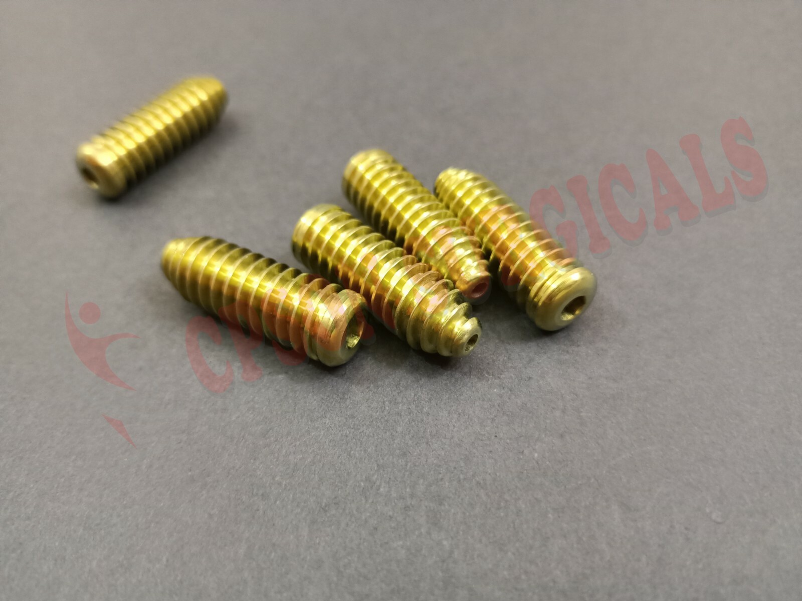 ACL Screw Titanium (Lot of 16pcs) + Screw Driver 1pc Veterinary Instrument