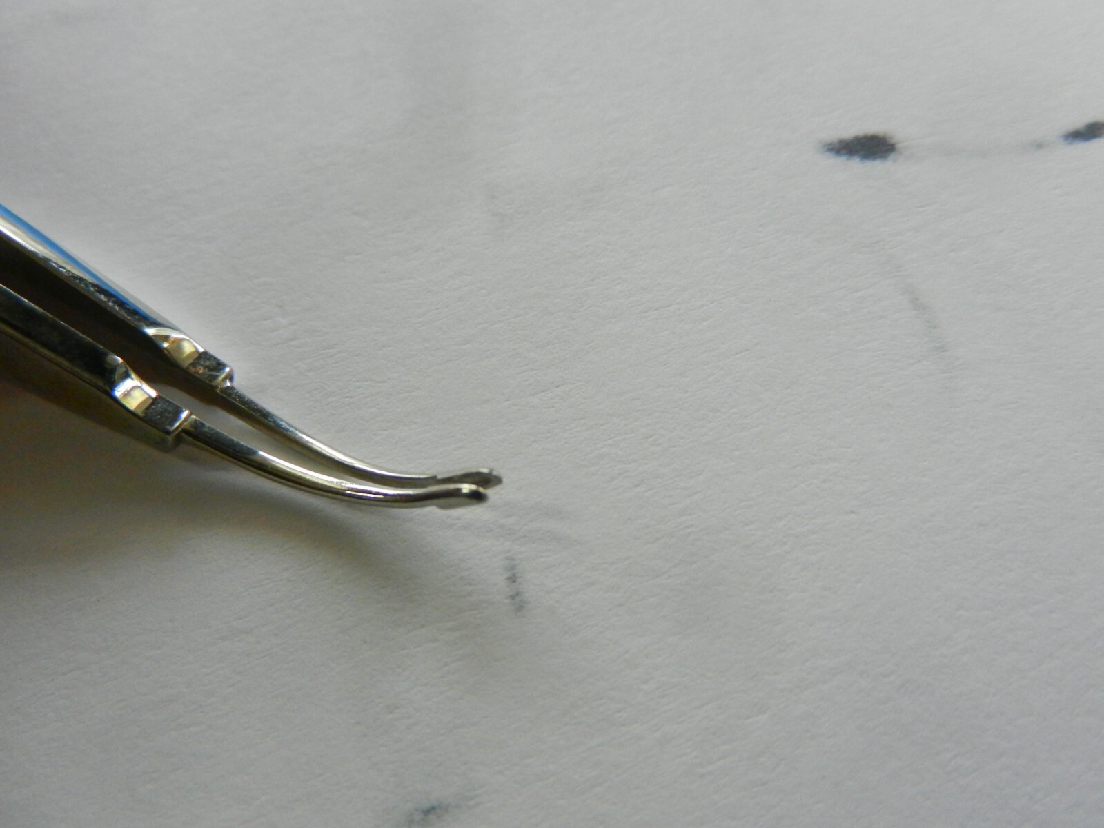 E1348 Storz Surgical Arruga Capsule Forceps E2016