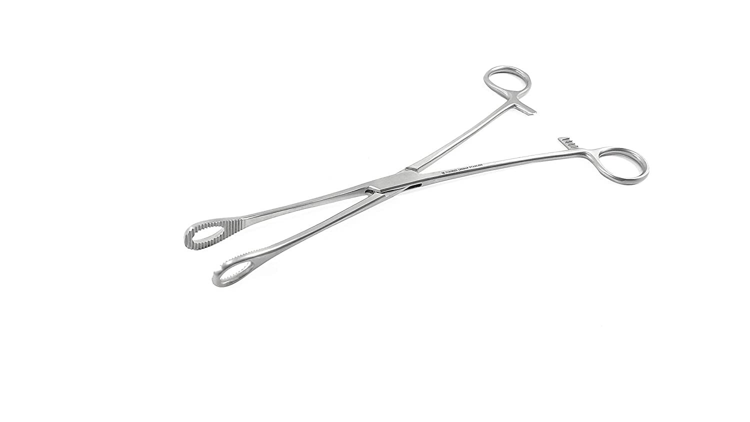 Premium Quality Sponge Holder 8 Inch (Pack of 1) Surgical Instrument