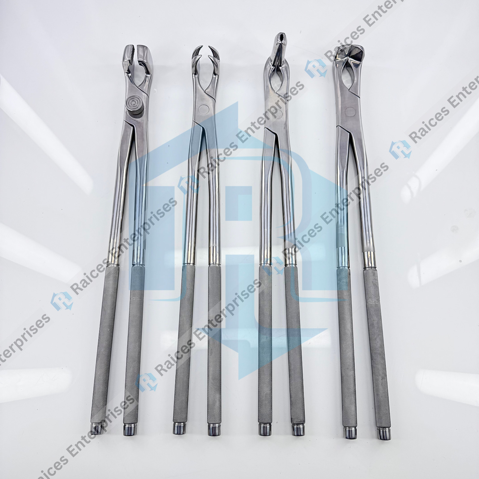 Equine Molar Extracting Forceps Set of 4 Pcs Horse Veterinary Dental Instruments