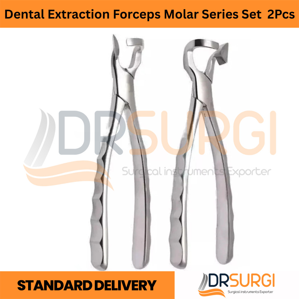 Dental Extraction Forceps Molar Series Set Of 2Pcs Dental Surgical Instruments