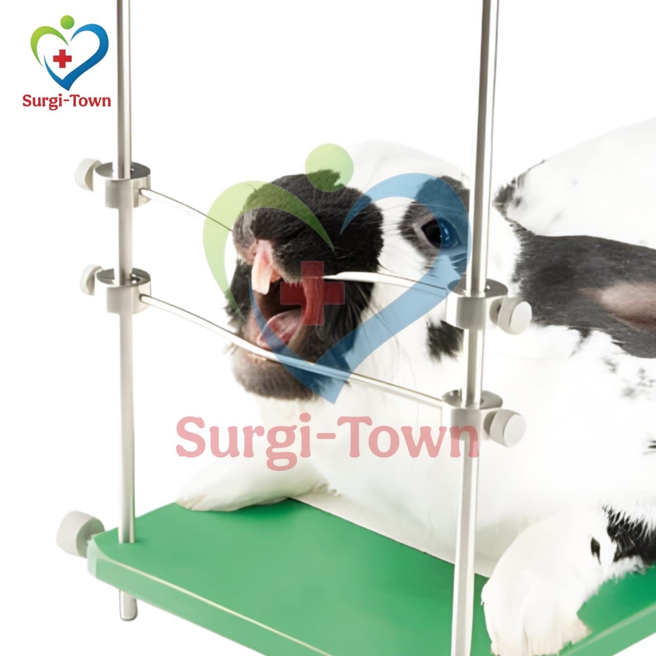 Rabbit Rodent Table Top Mouth Gag Speculum Animal Dental Veterinary Instrument