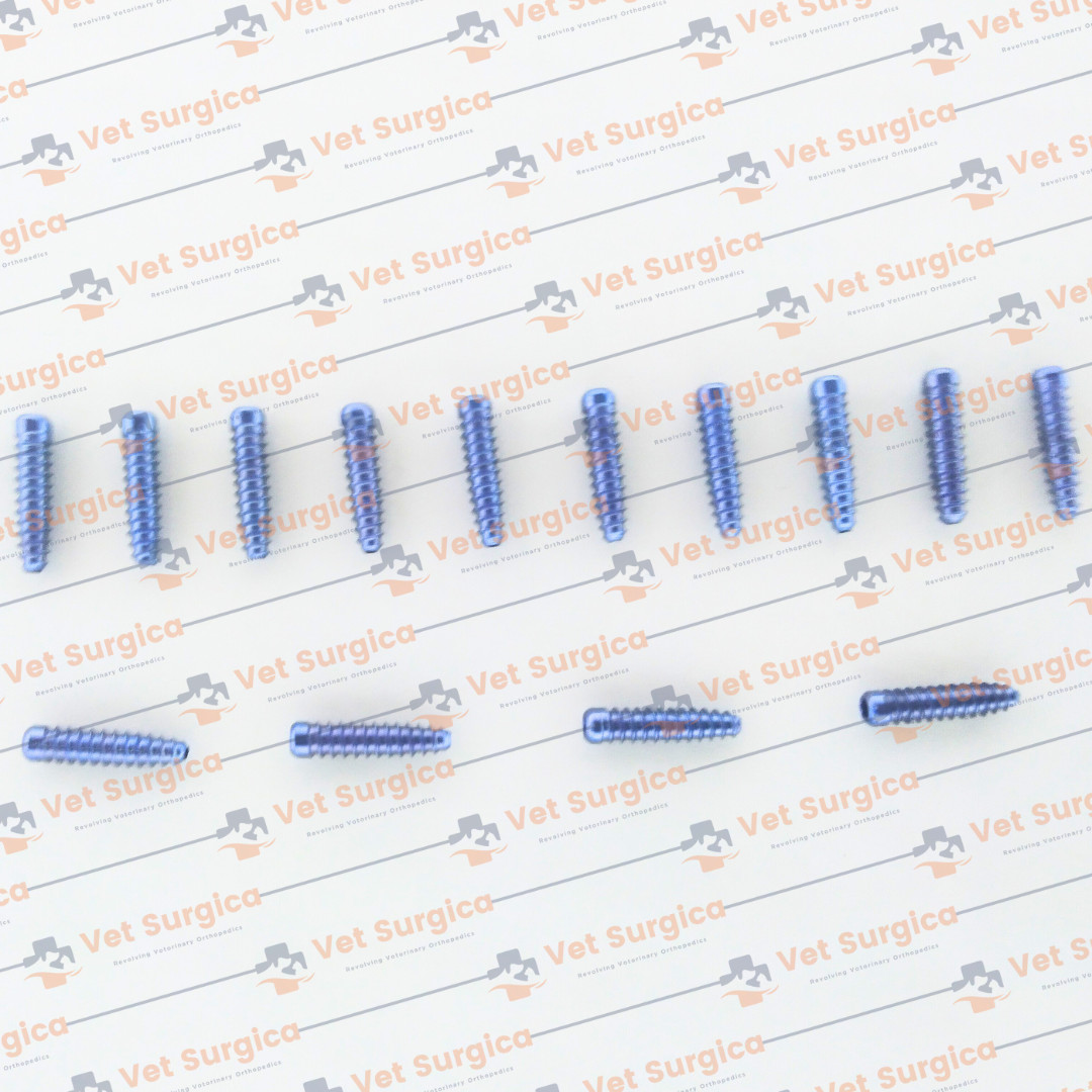ACL (Interference) Screw Dia: 8mm Length 25 & 30mm with Screwdriver 21Pcs Set Ti